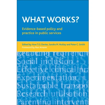 Afbeelding van What works?