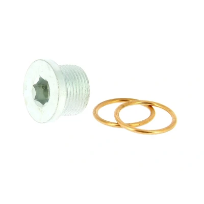 Afbeelding van XL 300077 Olie Aftapplug M22