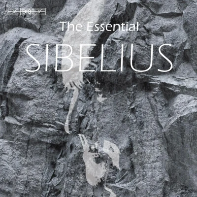 Afbeelding van Lahti Symphony Orchestra &amp; Gothenburg Sibelius: The Essential Sibelius (15 CD)