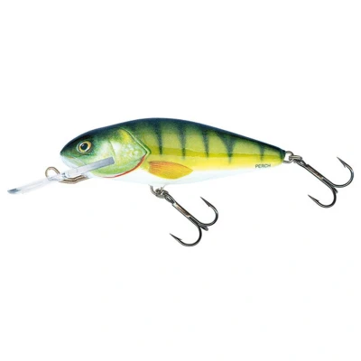 Afbeelding van Salmo Perch Flo 12cm Plug