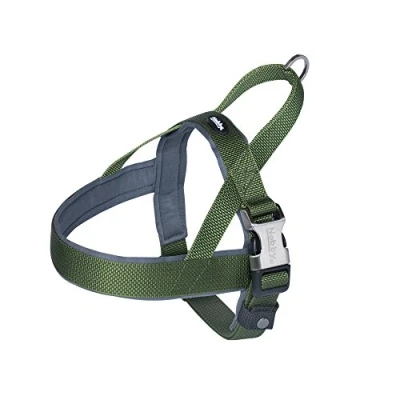 Afbeelding van Nobby tuig classic preno royal groen s m