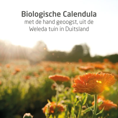 Afbeelding van Weleda Calendula Bodymilk 200 ml