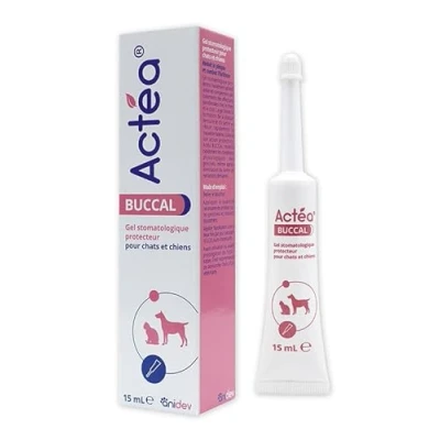Afbeelding van Anidev Actéa Buccal Kalmerende tandvleesgel voor honden en katten Natuurlijk product Slechte adem 15 ml