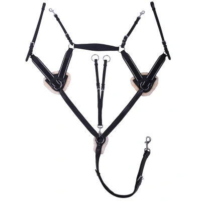 Image de QHP Breastplate Ontario