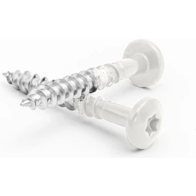 Afbeelding van Rockpanel schroeven Wit RVS A4 4.5 x 35 mm Torx 20 Doos 200 stuks