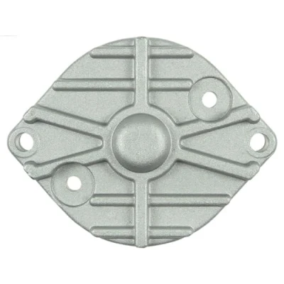 Afbeelding van Startmotordeksel, carburateur AS PL SBR9020