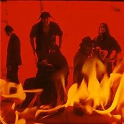 Afbeelding van Poison Idea We Must Burn (2 LPs)