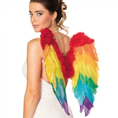 Afbeelding van Boland 52833 Engelenvleugels, regenboog, gevouwen, 50 x cm, accessoire, Carnaval, themafeest