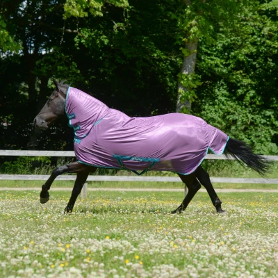 Image de Bucas Freedom Fly Sheet Full Neck Violet/Green