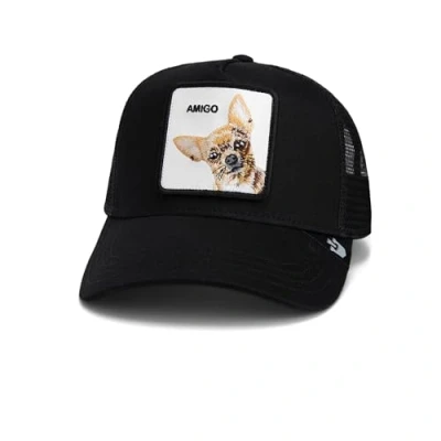 Afbeelding van Goorin Bros Pet, Heren, Maat: One Size, Ebony