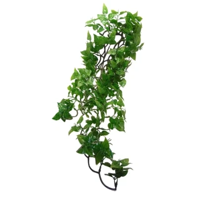 Afbeelding van Komodo Philodendron Plant 60 CM (73943)