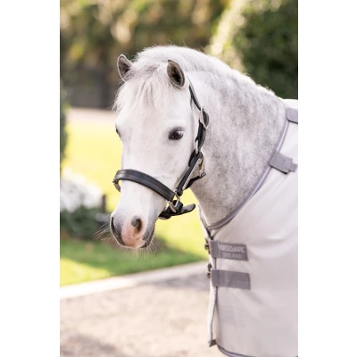 Image de Amigo Bug Rug Pony
