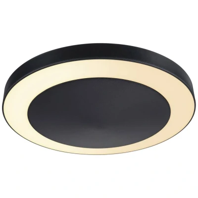 Afbeelding van Paulmann Circula 94525 LED buitenlamp (plafond) 14 W Antraciet