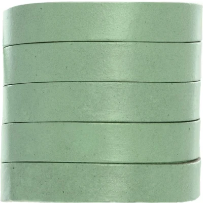 Afbeelding van DQ Plat Leer (10 x 2 mm) Cool Green (1 Meter)