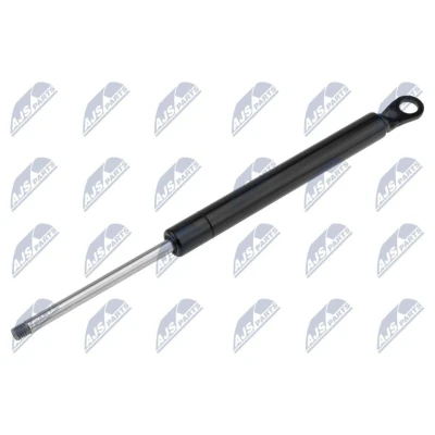Afbeelding van NTY AE CT 008 Gasveer achterklep 250N 289mm
