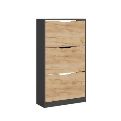 Afbeelding van Vicco Armoire à chaussures Luca anthracite/chêne doré 22 x 105 cm avec 3 compartiments
