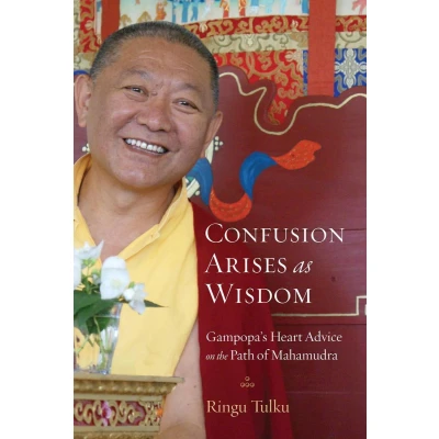 Afbeelding van Confusion Arises as Wisdom