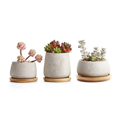 Afbeelding van T4U Cement vetplanten, potje met onderzetter, rond, set van 3, beton, mini bloempot voor cactus miniatuurplanten