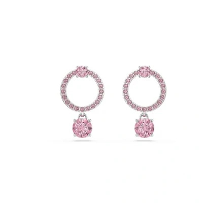 Afbeelding van Swarovski Attract DROP Round CUT Oorbellen, Dames, Maat: One Size, Pink