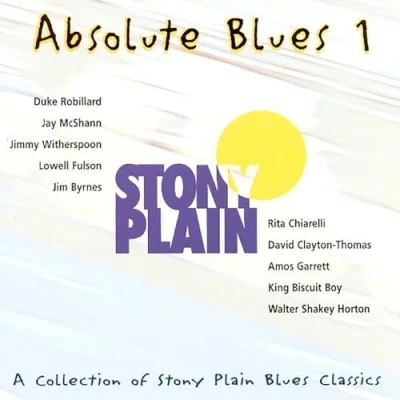 Afbeelding van Various Artists Absolute Blues Volume 1 (CD)