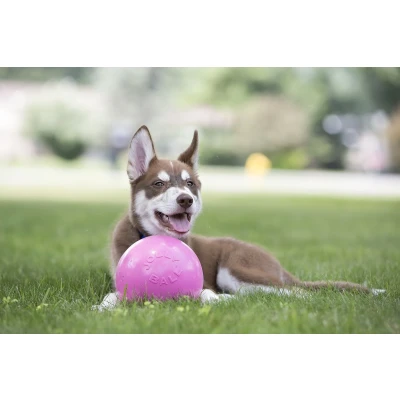 Afbeelding van Jolly Ball Bounce n play Roze 20cm
