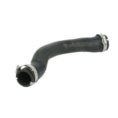 Afbeelding van THERMOTEC DCA020TT Laadluchtslang AUDI: A6 C6 Saloon, Avant, Allroad