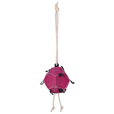Image de QHP Horse toy ball