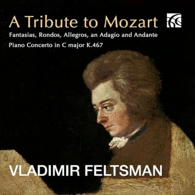 Afbeelding van Vladimir Feltsman: A Tribute to Mozart