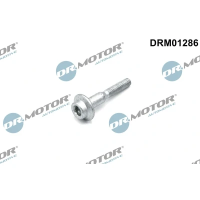 Afbeelding van Schroef, inspuitstukhouder Dr.Motor Automotive DRM01286