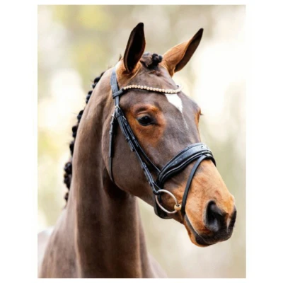 Afbeelding van HB Showtime Hoofdstel Rose Gold Zwart Pony