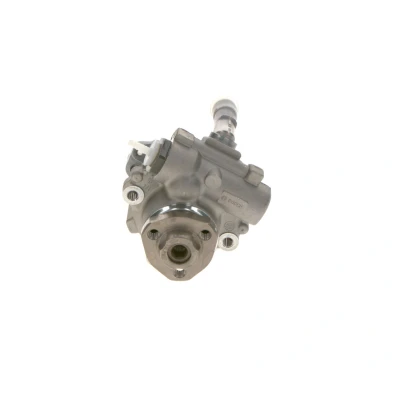 Afbeelding van Bosch Servopomp K S01 000 481