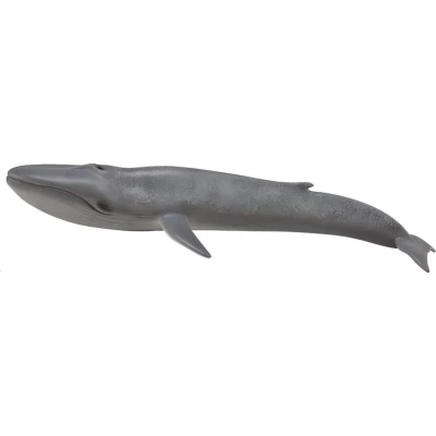 Afbeelding van Collecta Zeedieren Blauwe Vinvis 28 Cm