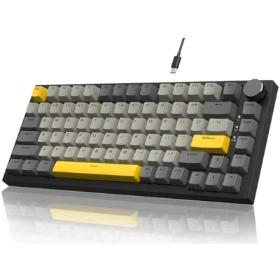 Image de YINDIAO AK820 Clavier Mécanique avec Knob,Disposition 75% ANSI,82 Touches de Jeu Filaire,5 Mousses Insonorisantes,Hot Swap,Interrupteur Linéaire,Rétroéclairage RVB,pour PC,MAC (Gris)