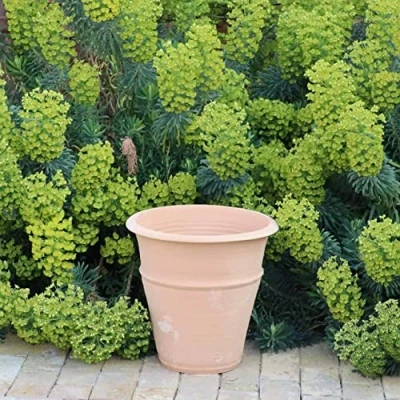 Afbeelding van Palatina Yucca Bloempot van keramiek, handgemaakt, vorstbestendig, weerbestendig, voor tuin, terras, 40 cm