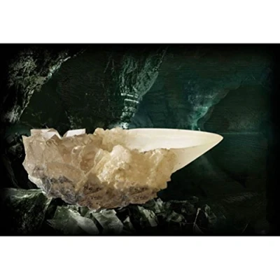 Afbeelding van Harry Potter: The Crystal Goblet
