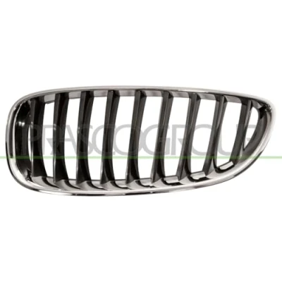 Afbeelding van BLIC 6502 07 0089995P Grille Auto Links voor Chroom, Zwart