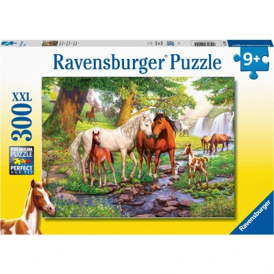 Afbeelding van Ravensburger puzzel 300 XXL 129041