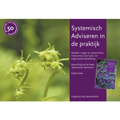 Afbeelding van Systemisch Adviseren in de praktijk