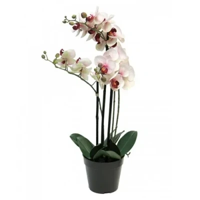 Afbeelding van Phalaenopsis Orchidee In Pot 60 cm roze kunstplant