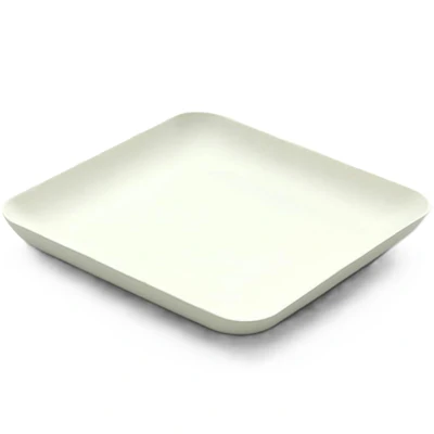 Afbeelding van Bagastro Suikerriet Bord Vierkant 12x12x1,5cm 40st.