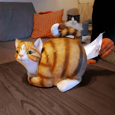 Image de Chat distributeur de mouchoirs