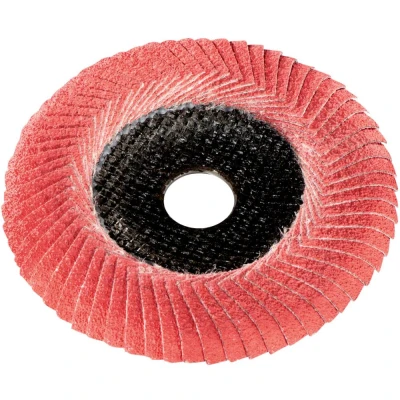 Afbeelding van Metabo 626489000 Lamellenschijf Boordiameter 22.23 mm 10 stuk(s)