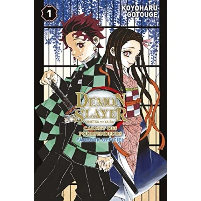 Afbeelding van Fan book demon slayer,01