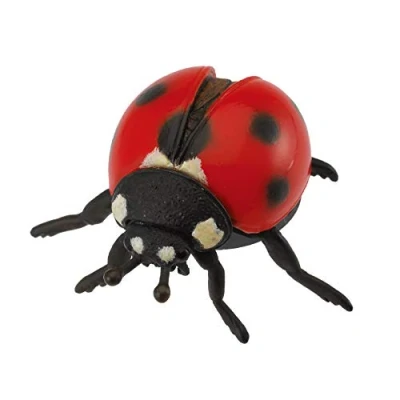 Afbeelding van COLLECTA Lieveheersbeestje (M)