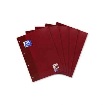 Afbeelding van Hamelin Paperbrands 384405028 schrijfblok, A4, geruit, met rand 90 g/m², 5 stuks, 50 vellen