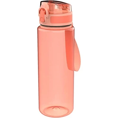 Afbeelding van Lunch Buddies Basic fles 600 ml leer
