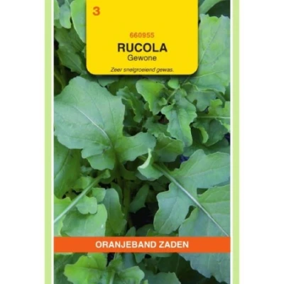 Afbeelding van Rucola gewone
