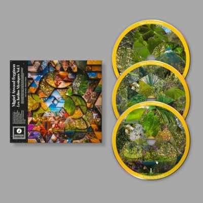 Afbeelding van Miguel Atwood Ferguson Les Jardins Mystiques Volume 1 (3 CD)