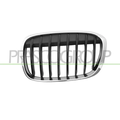 Afbeelding van Blic Grille 6502 07 0082993MP
