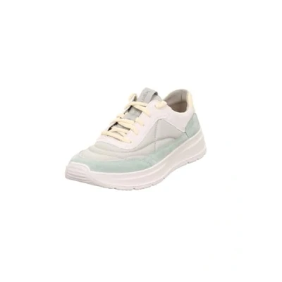 Afbeelding van Legero Sprinters Basketbal dames, Alga Green 7530
